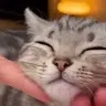 kosh emote