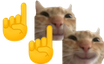 +2