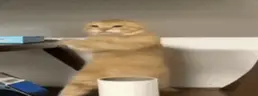 fueravene emote