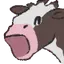 MOOOO