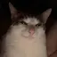 evil