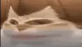 rmm emote