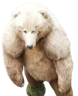 aribo emote