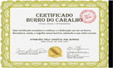 burrodocaralho emote