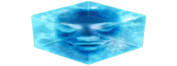 wideSpeedTesseract emote