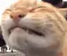 kikikikiki