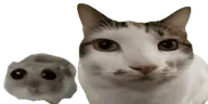 SajOhungry emote