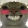 :))) emote