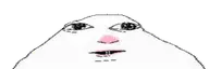 spon
