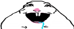 Hamster emote