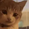 sup emote