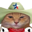 Sheriff