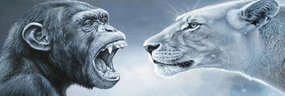 jamalpa emote