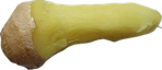 Ginger