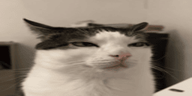 Really emote
