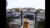 droneAlert emote