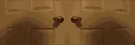 wideDoor
