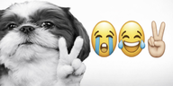 CocoSlowdown emote