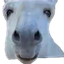penoSmile