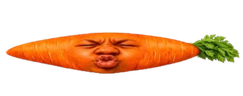 wideSpeedCarrot emote