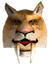Bojongo