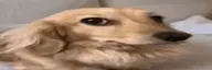 ??