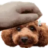 PETTHEMICA emote