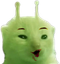 yoggchamp