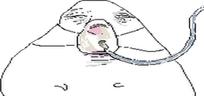 COPIUM emote