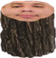 LemonLog