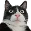 WTF