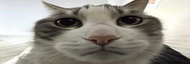 wiresSad