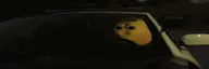 SUSpect