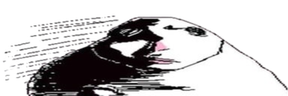 oware emote