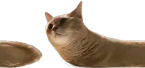 chorming emote