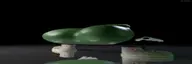 FROG4