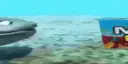 wideMEGA