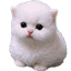 chudpert
