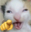 jaja