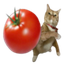 tomatoCat