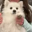 yukiVibe