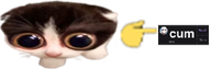 DIDYOUCUMIT