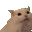 MYA-