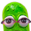 pickleStareW