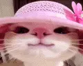 ( emote