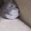 hmpf