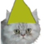 hashiDank
