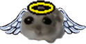 ohangel