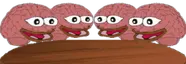 BrainFrogMeeting