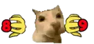 89